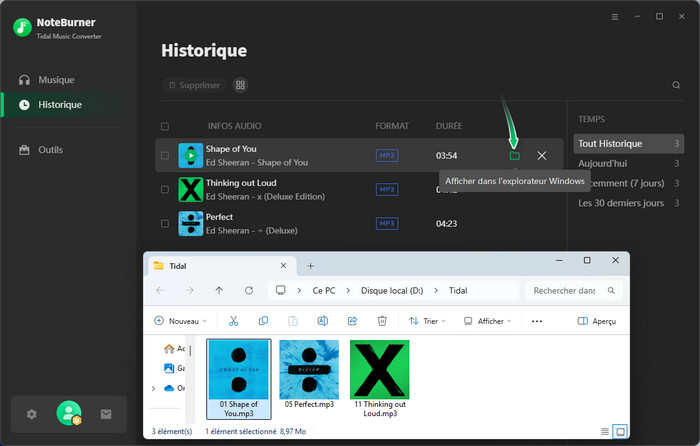 Vérifier les musiques téléchargées de Tidal