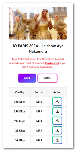 Cliquer sur le bouton de téléchargement sur noTube