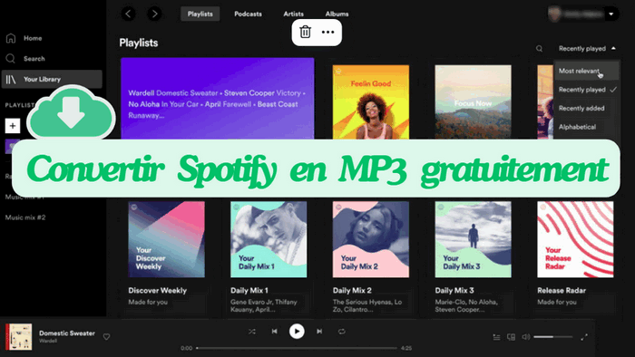 convertisseurs Spotify gratuits en ligne